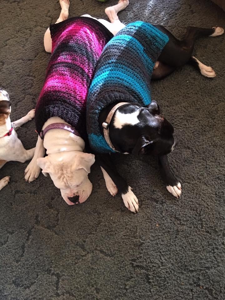 Boxer dog sweater crochet project by Laura L LoveKnitting